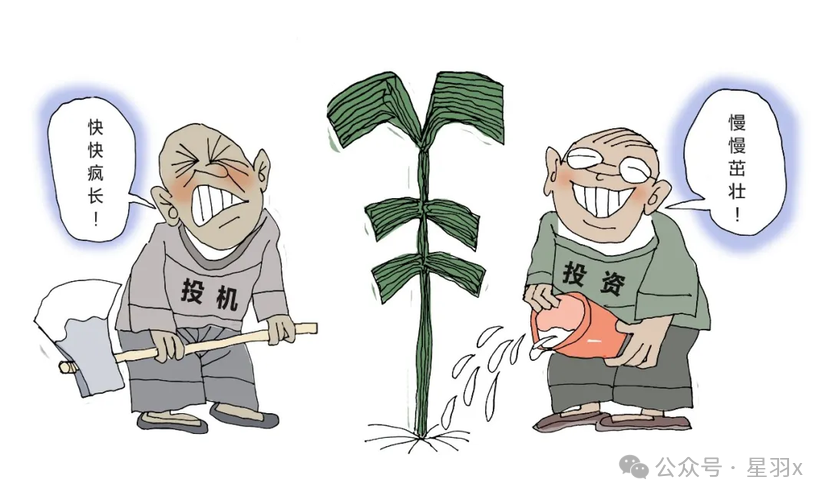 选择适合自己的数字货币投资策略_货币数字股票有哪些_货币类策略
