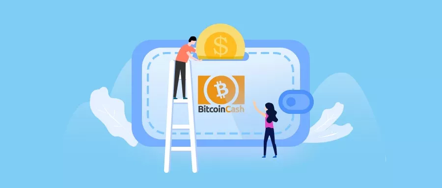 如何选择适合自己的BCH钱包？比特币现金钱包选择指南
