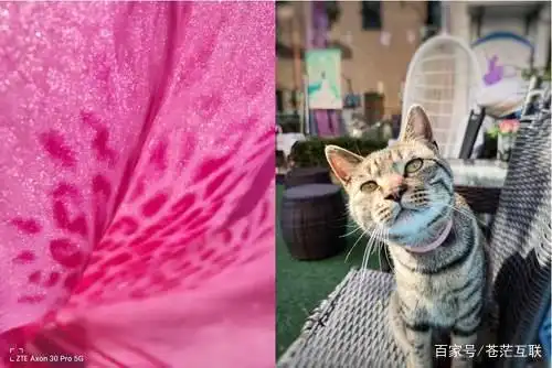 中兴问题_用户反馈：中兴手机的使用体验总结_中兴手机问题反馈