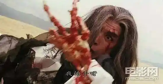 甄子丹的经典武打角色分析_甄子丹的经典武打片_甄子丹的武打电影有哪些