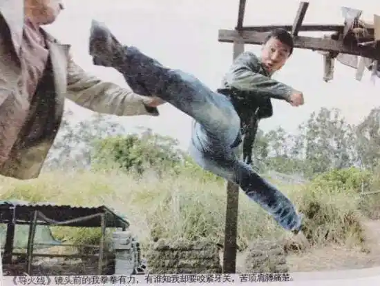 甄子丹的武打电影有哪些_甄子丹的经典武打片_甄子丹的经典武打角色分析