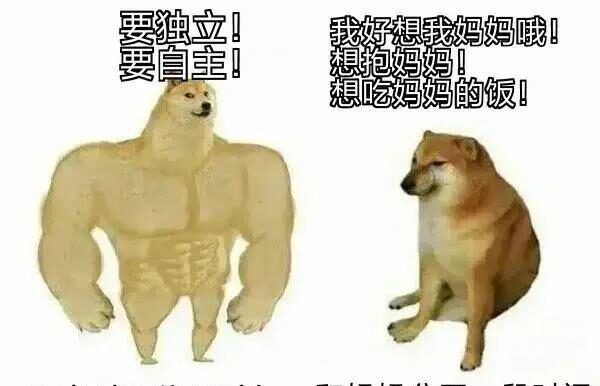 张晋的生活哲学与人生观_张晋的生活哲学与人生观_张晋的生活哲学与人生观