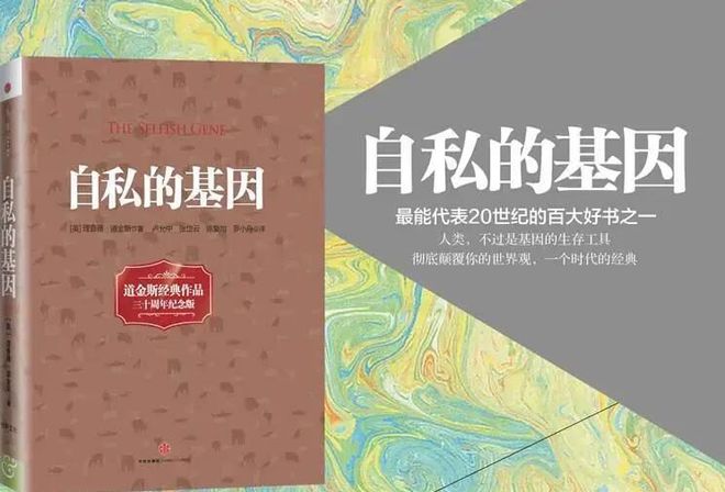 张晋的生活哲学与人生观_张晋的生活哲学与人生观_张晋的生活哲学与人生观