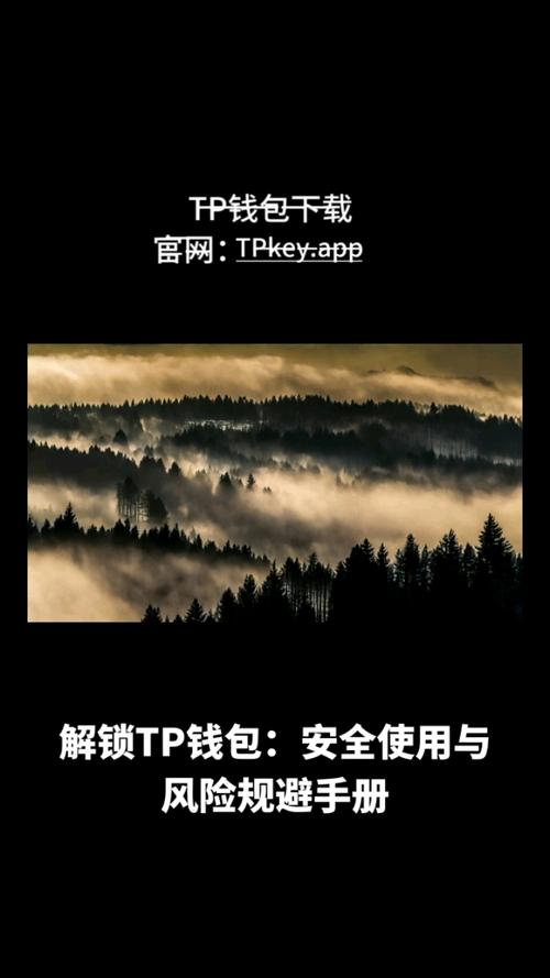 TP钱包APP安卓版的安全设置与防护建议_钱包安全性_钱包安全锁在哪里