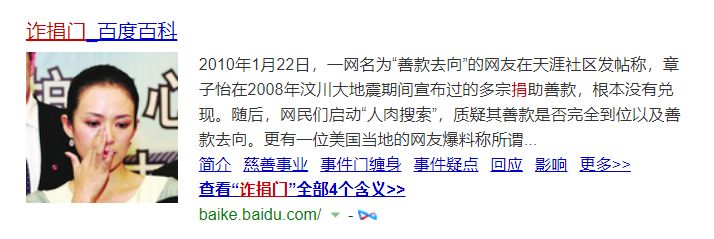 公益社会服务项目书_公司爱心公益捐助社会_杨幂的社会责任与公益活动